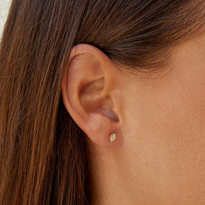 Gold Montana Stud Earrings