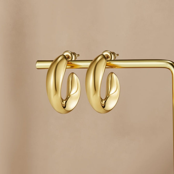 Twisted Sarah Hoop Earrings
